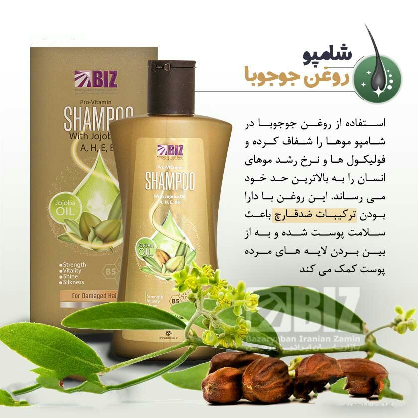 خرید شامپو جوجوبا تقویت کننده مو